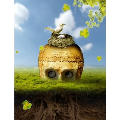 DIY Painting By Numbers Skull Kit Coloring By Number Scenery Wall Art Picture Acrylic Canvas Paintings Home Decor Helloween Gift