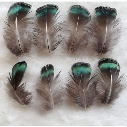 100pcs/Lot 3-5CM Loose Small Green Bronze Lady Amherst Pheasant Plumage Feathers for Jewelry Making,Costumes,Cheap Feathers