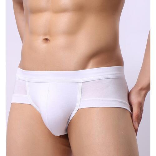 3Pcs/lot Men Briefs Underwear Mens Sexy Brief New Underpants Modal Comfortable Mens Briefs Underwear Shorts Male Panties Cotton