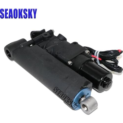 65W-43800 For Yamaha 2 stroke 25HP 30HP 40HP F25 F30HP 40HP Outboard Single Ram Power Tilt Trim Unit