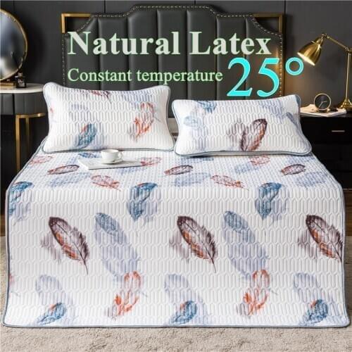 Latex Printing Foldable Cooling Summer Sleeping Mat Ice Silk with Pillow Shams Queen Mattress Protector Sheet Summer Cool Pad