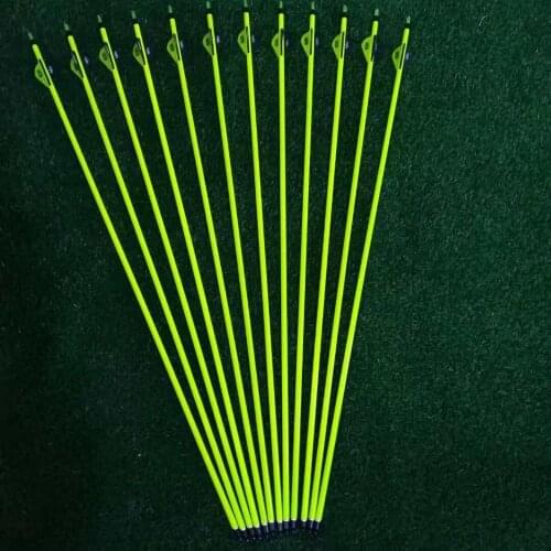 12pcs Hunting 31" Pure Carbon Arrows 2" Plastic Feather Replaceable Tips Spine 300 for Compound/Recurve Bows