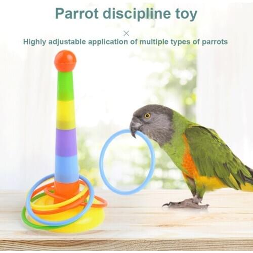 6 Bird Toy Activity Training Colorful circle Funny Mini Ferrule Toy for Parrot Development Interactive Toy Supplies Pet Products