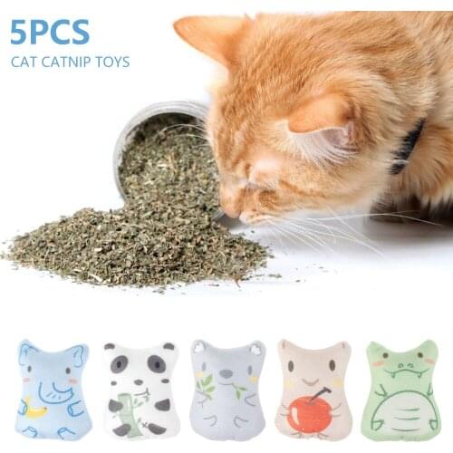 5Pcs Cat Catnip Toys Cute Animal Shaped Chew Toy Bite Resistant PP Cotton Kitten Interactive Toy Teeth Cleaning Play Chews