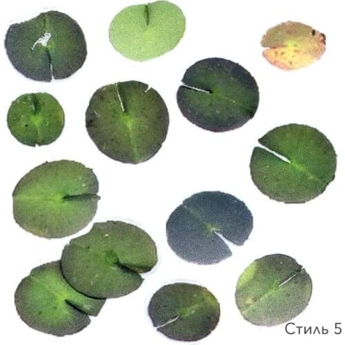 Epoxy Master Decorative Film