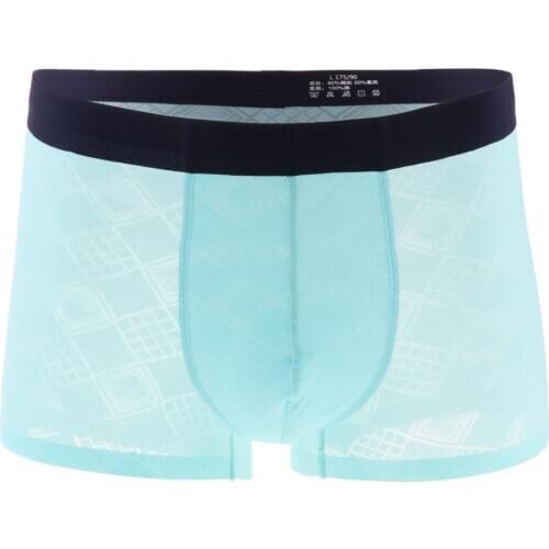 Men Stretch Briefs Underwear Sexy Low Rise Mesh Shorts Bulge Pouch