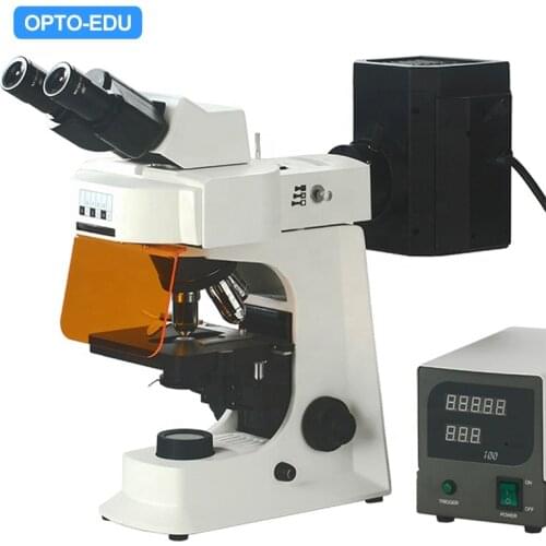 OPTO-EDU A16.2601-B2 Professional Fluorescence Binocular Microscope