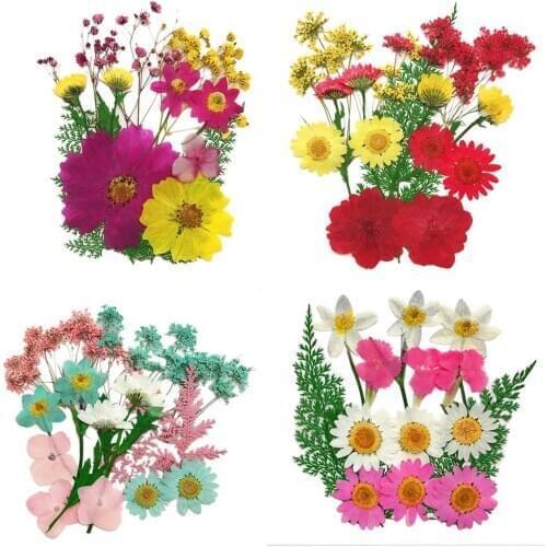 1 Set Natural Pressed Decorative Dried Flowers Dried Flower Petals Artificial Flowers DIY Nail Craft Phone Case Dried Flowers