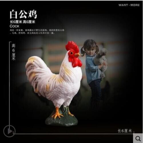 Handmade poultry Cock Animal crafts Home Parrot Collect Statue Walking Stick Head decoration Desktop furnishing