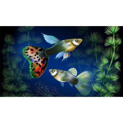 Full Square Drill 5D DIY Aquarium fish at underwater water grass diamond painting Cross Stitch 3D Embroidery Kits home decor H37