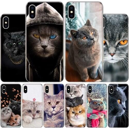 British Shorthair Cat Cover Phone Case For Apple iphone 11 12 Pro XR X XS Max 7 8 6 6S Plus + 7G 6G 5 SE 2020 Coque Popular