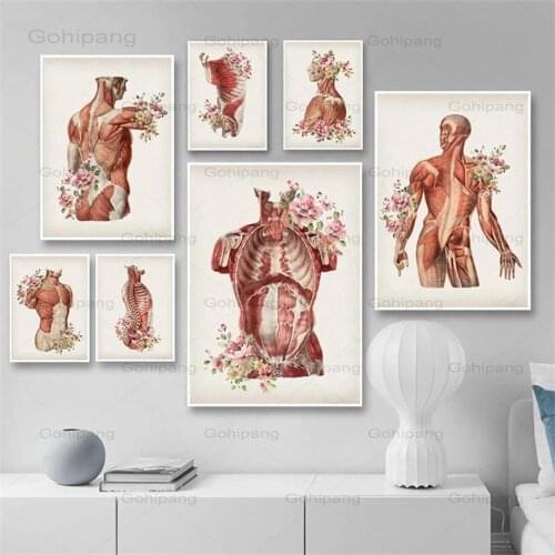 Canvas Painting Human Body Muscle Structure Retro Wall Art Posters And Prints Nordic Wall Pictures Education Study Room Decor
