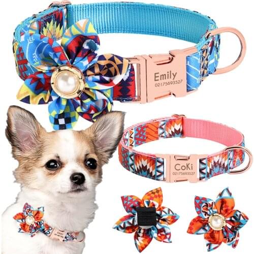 Dog Collar With Leash Pet products Dog things Custom Engraved Nylon Printed Dog ID For Poodle Bichon Frise Chihuahua Fawn