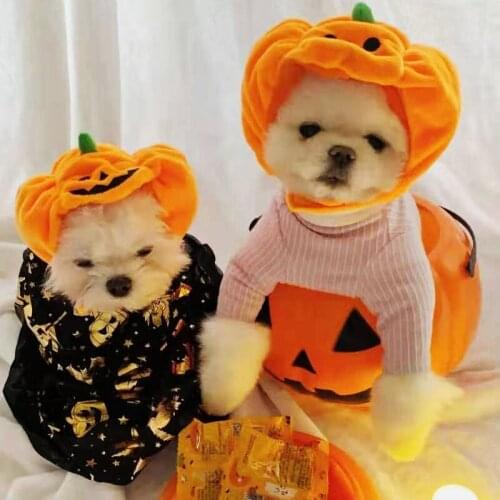 Pumpkin Pet Cat Accessories Dog Hat For Halloween Soft Cheap Festival Hat Cap Pets Funny Costume Cosplay Dog Accessory Puppy Hat