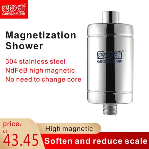Family 304 Stainless Steel Housing Bathroom Type Water Shower Filter Remove Chlorine Shower Head Ionic Filter