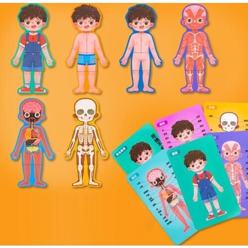 Wooden Human Body Structure Puzzle Toy Toddlers Kids Preschool Educational Tool Parent-child Interactive Toys For Children Gifts