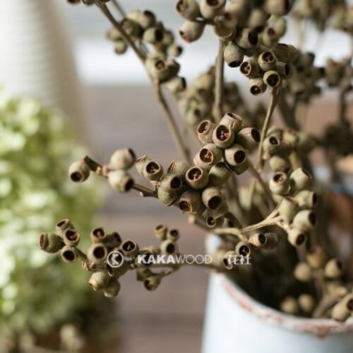 Natural Dried Flowers Nordic ins Style Pea Shooter Corpse Fruit Grass Bunch Real Flower Bouquet Home Room Wedding Decoration