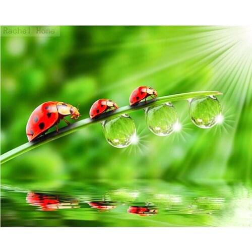 Diamond Embroidery Diy Diamond Paintingross Stitch Kits Diamond Mosaic Ladybugs Full Square Diamond Embroidery AD112