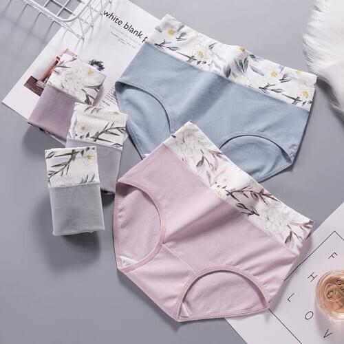 3/4pcs Women Panties Cotton Underwear Girls Breathable Seamless High Waist Briefs Women Comfort Cute Sexy Lingerie Intimates