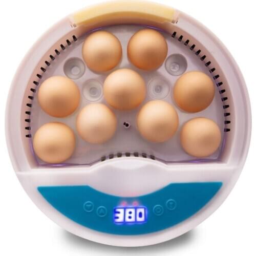 Newest Farm Egg Incubator Brooder Machine For Chicken Goose Duck Quail Pigeon Automatic Mini 9 Egg Hatchers 110V/220V
