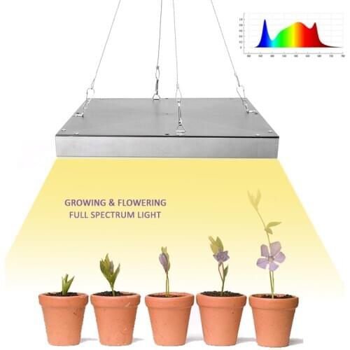 Grow Tent Led Full Spectrum LED Grow Light 3500K Phyto Lamp Plants Lights For Growing Flowering Indoor Grow Kit Lamp For Plant