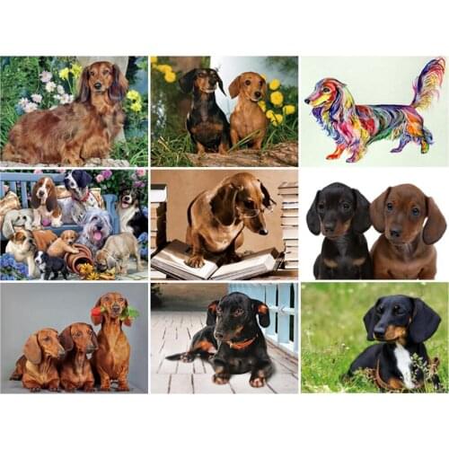 Yumeart Diamond Painting Professor Dachshund Cross Stitch Kit Diamant Mosaic Embroidery Dog Pet,Diamond Hobby Home Decor Gift