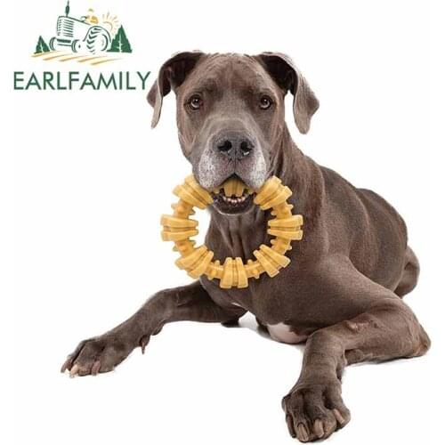 EARLFAMILY 13cm x 12.3cm for Nylabone DuraChew Plus Textured Ring Dog Motorcycle Decal Car Window Stickers Vinyl Animals Decor