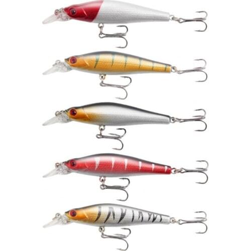 New 5Pcs Hard Bait Lifelike Painting High-strength Hook 5-color Vivid Anti-corrosion Fishing Lure for Freshwater Fishing Lure