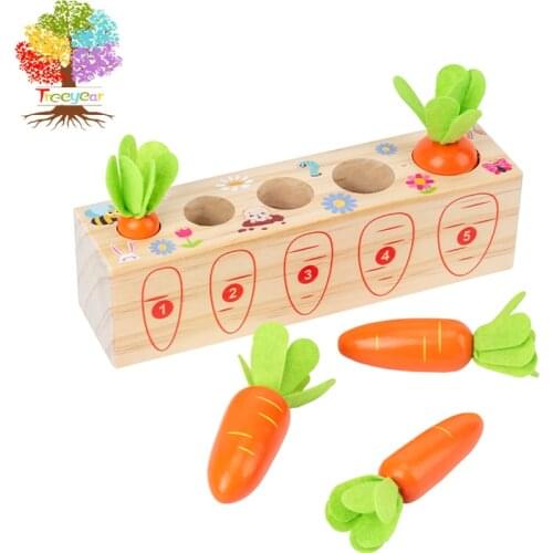 Treeyear Montessori Toys for 1 Year Old Toddlers Wooden Carrots Harvest Shape Size Sorting Game