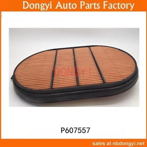 High Quality AIR FILTER OEM P607557