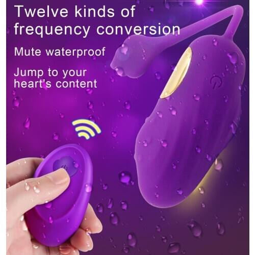 Silicone USB Charging 12 Modes G Spot Vibrator Adult Sex Toy with Remote Control