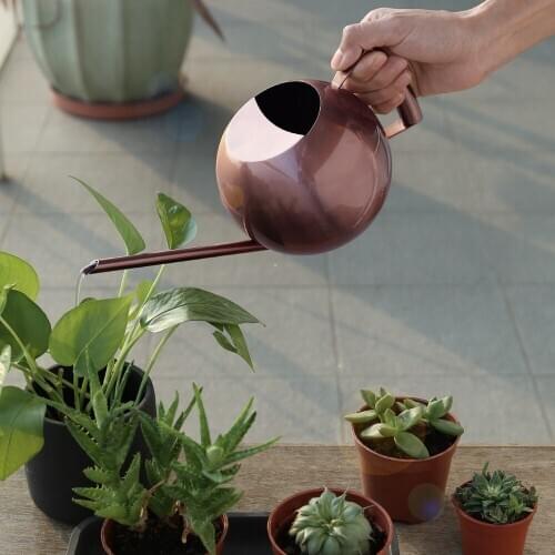 1000ml Round Watering Can For Indoor Garden House Plants Long Spout Bronze Stainless Steel Watering Pot Watering Device