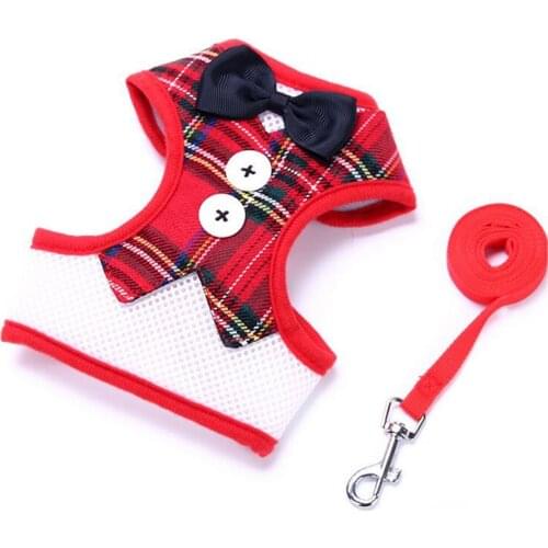 Small Pet Vest Harness Leash Set Walk Outdoor Dog Puppy Cat Soft Mesh Breathable