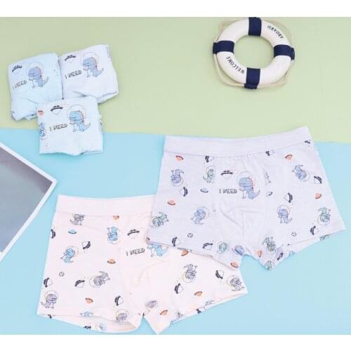 5 PCS New childrens underwear Thin Lycra fabric underwear Childrens boxer shorts little boys 4-12T