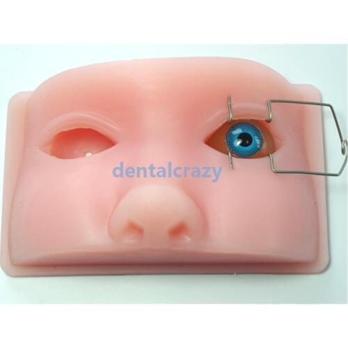 Ophthalmic model phacoemulsification micromanipulation ophthalmology practice model simulation model