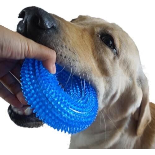 Squeak Chew Pet Toys Thorn Circle Ring Training Funny Chew Small Dog Toys Sound Interactive Resistant Bite Puppy Tooth Cleaning