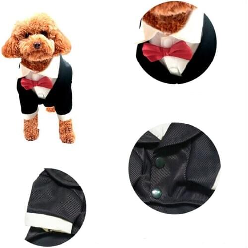 FODOG Pet Clothing Cat Dog Coat Puppy Gentleman Suit Western Shirt With Wedding Tie Pet Coat Clothing Jacket Pet Product Supply