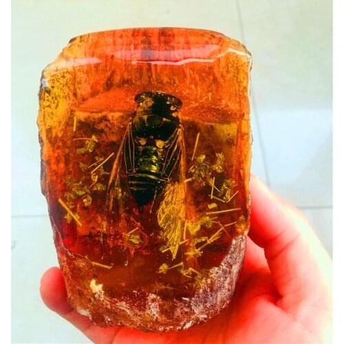 10cm Natural Insect Stone Amber Beeswax Raw Crystal Stone Scorpion Butterfly Cicada Ball Home Decor Art Collection