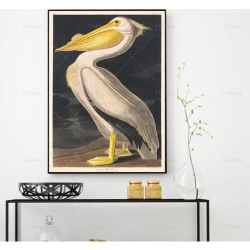John James Audubon Birds, American White Pelican Poster Print, Bird Art, Vintage Bird Print, Gift Idea, Wall art poster print
