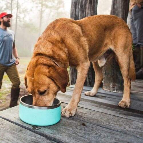 Anti Skid Stainless Steel Big Dogs Bowl Water Food With Silicone Mat Durable Nontoxic Dog Cat Feeder Drinking Bowl Pet Supplies