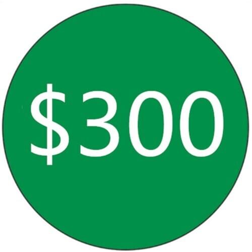 Special link Custom made Cost just for the balance of your order 300USD