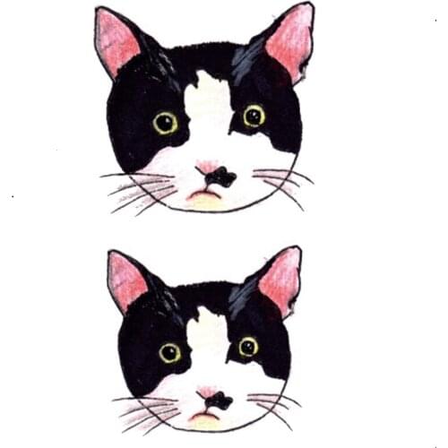 Waterproof Temporary Tattoo sticker cute cartoon crayon cat tattoo Water Transfer fake flash tattoo 10.5*6 cm for woman kids