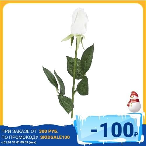 Товары для праздника GLORIA GARDEN China At AliExpress