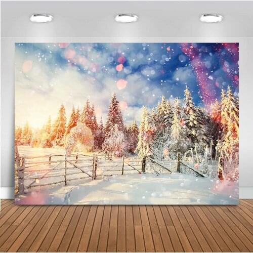 Winter Landscape Wonderland Backdrop Forest Snowflake Sunrise Warm Sun Background for Photo Studio Portrait Photography Backdrop