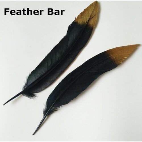 Factory 200pcs/lot Size 8-32inch(20-80cm) Good Quality Tips Gold Pheasant silver Tail Feathers Black pheasant feathers