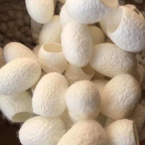 10PCS Silkworm Balls Deep Cleaning Purifying Whitening Exfoliating Scrub Blackhead Remover Natural Silk Cocoons Facial Skin Care