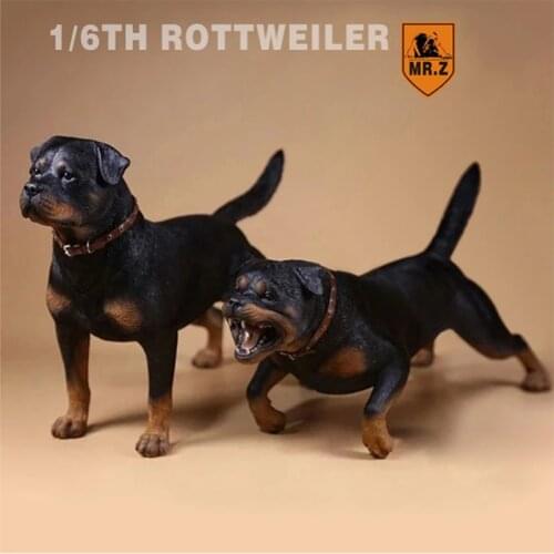 Mr.Z 1/6 Scale Simulation Animal dog German Rottweiler Dog Model Toys Gift Model F 12"Action Figure Scene Car indoor Decoration