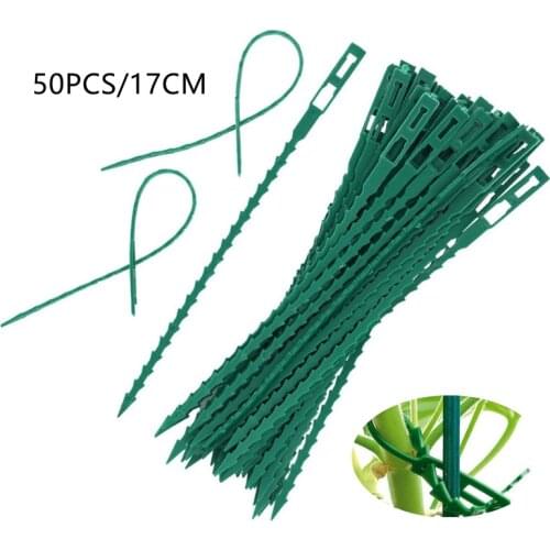 50Pcs Reusable Garden Cable Ties Plant Support Shrubs Fastener Tree Locking Nylon Adjustable Plastic Cable Ties Tools 17cm