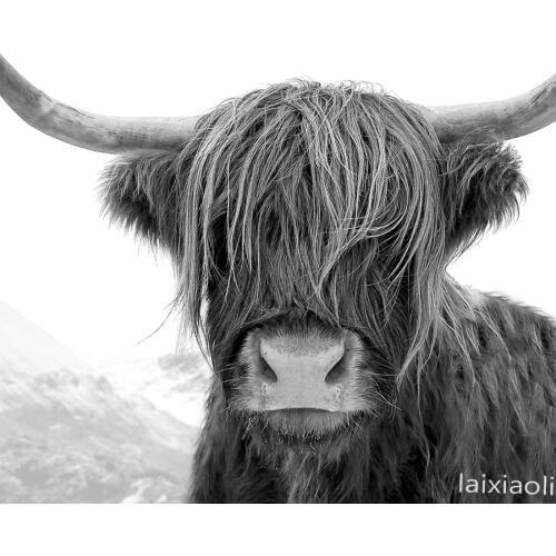 5d DIY Diamond Embroide Highland Cow Full square round Diamond Painting Cross Stitch Black White art Diamond Mosaic 3d pictures