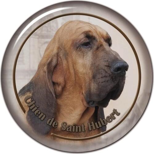 B0807# 13CM/17CM Self-Adhesive Decal Chien De Saint Hubert Dog Car Sticker Decors on Bumper Rear Window Laptop